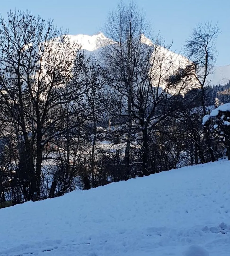 Apartment Appart En Rez De Jardin Clos Face Au Mont Blanc Combloux